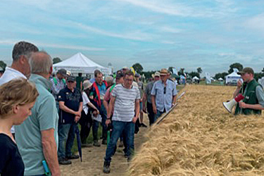 Führung auf dem Feldtag