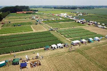 Feldtagsgelände aus der Luft