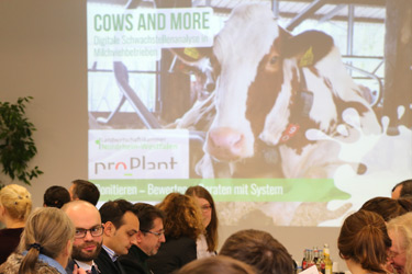 CowsAndMore Markteinführung