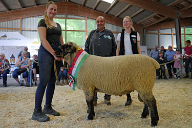 Schafbockauktion 2024, Foto 3
