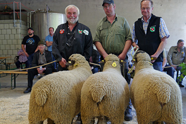 Schafbockauktion 2024, Foto 5