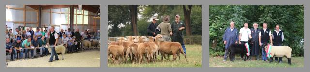 Bildergalerie zu den NRW Schaftagen 2018