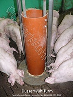 DüsserWühlTurm