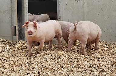 20240528_085040x383y250