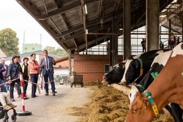 Düsser Bauernmarkt 2022