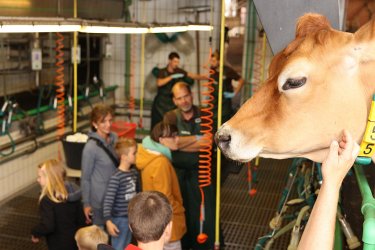 Düsser Bauernmarkt 2022