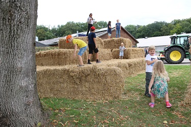 Düsser Bauernmarkt 2024