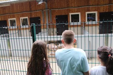 Düsser Bauernmarkt 2024