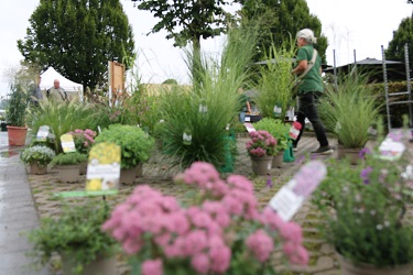Düsser Bauernmarkt 2024