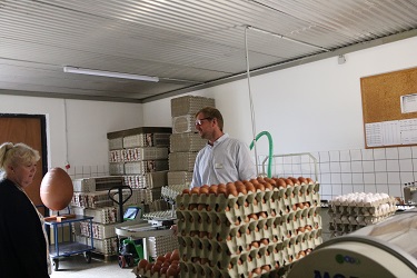 Düsser Bauernmarkt 2024