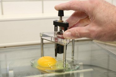 G1 - Geflügelhaltung