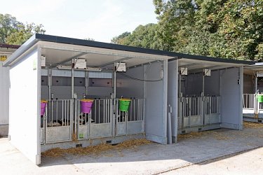 24 - Kälberhaltung