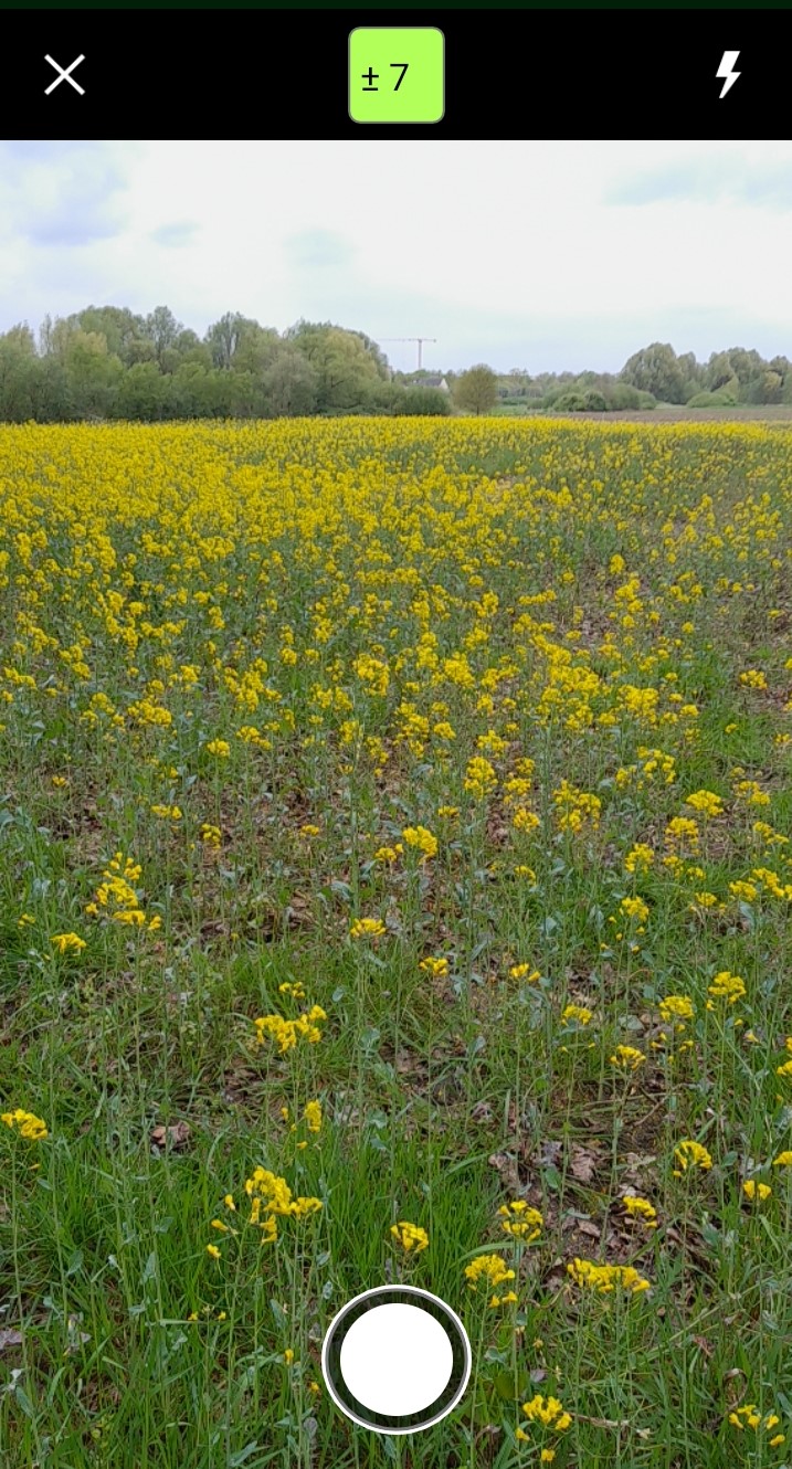 Foto einer Kultur aufnehmen