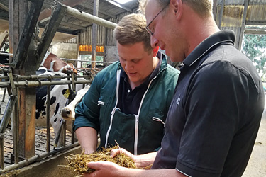 Berater und Landwirt beurteilen die Futterqualität