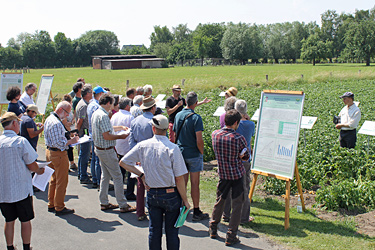 Wissenstransfer im Projekt Leitbetriebe