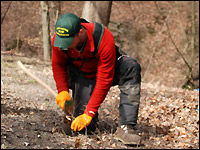 Landesentscheid NRW im Berufswettbewerb 2013