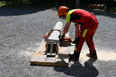 Berufswettbewerb 2025 Forstwirte