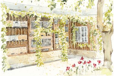 Jubiläum Bienenkunde