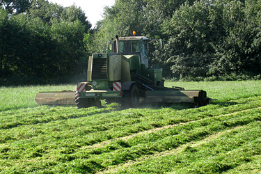 Grünlandschnitt