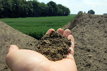 Kalkprobe in der Hand