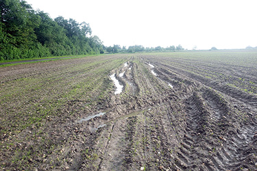 Acker mit tiefen Fahrspuren