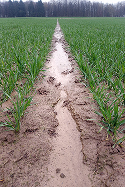 Verschlämmter Lössboden