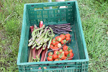 Die Ausbeute im Erntewagen