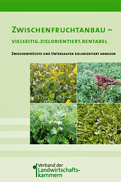 Praxisratgeber Zwischenfruchtanbau