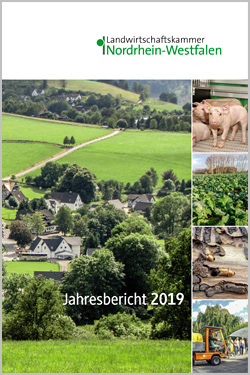 Jahresbericht 2019