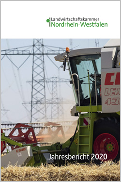 Jahresbericht 2020