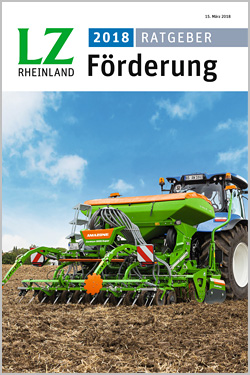 Ratgeber Förderung 2018