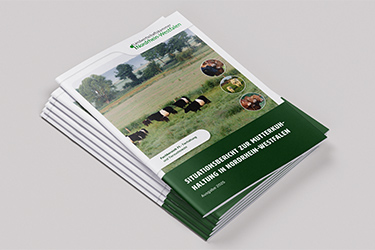 Situationsbericht Mutterkuhhaltung