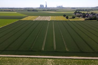 Rekultivierte Flächen im Braunkohlerevier