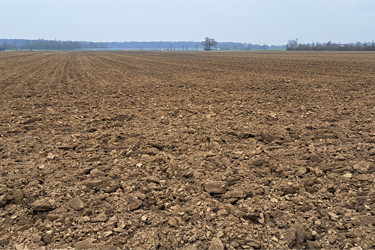 Frisch gegrubbertes Feld