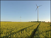 Windräder im Abendlicht