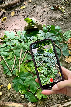 Netzwerktreffen Bauernhofpädagogik 2024