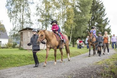Pony reiten