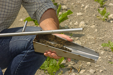 Bodenprobe abstreifen