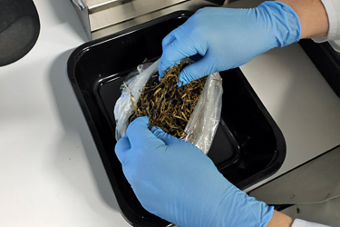 Grassilage untersuchen