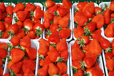 Erdbeeren in Schalen