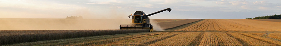 Getreideernte. Foto: Jolan Chapin, pixabay.com