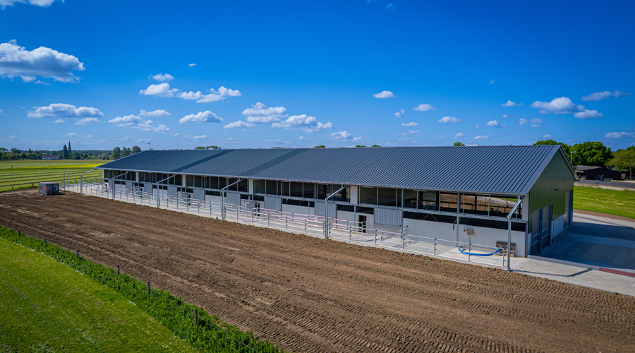 TUI-Stall Haus Riswick