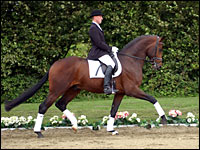 Saltimbanco in Aktion