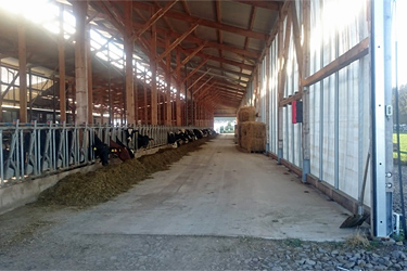 Exkursion ins Bergische Land