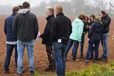 Besuch auf einem Ackerbohnenfeld