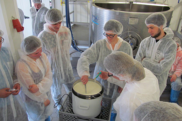 Käsereibesichtigung