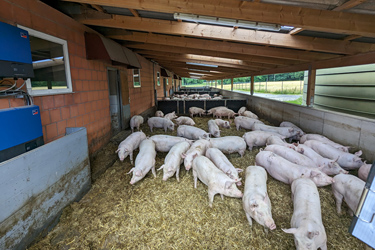 Wolbecker Betriebspräsentationen 2024 - 8