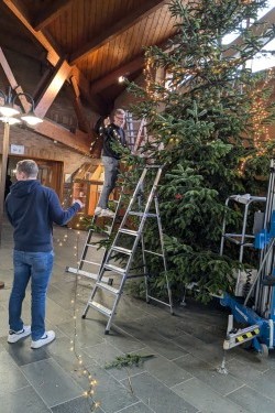 Der Weihnachtsbaum leuchtet