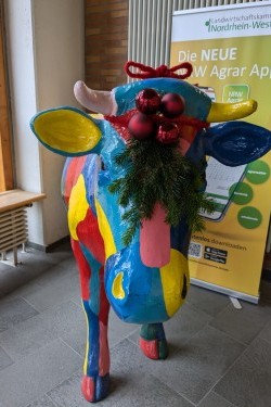 Der Weihnachtsbaum leuchtet