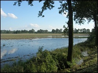 Hochwasser im August 2010